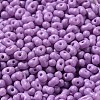 Baking Paint Glass Seed Beads SEED-K009-01B-11-3