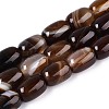 Dyed Natural Banded Agate Beads Strands G-T144-44B-4