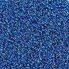 MIYUKI Round Rocailles Beads SEED-X0054-RR0291-3