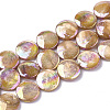 Freshwater Shell Beads Strands SHEL-S274-52C-1
