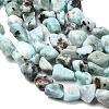 Natural Larimar Beads Strands G-P601-A20-02-4