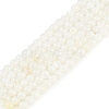 Natural Cultured Freshwater Shell Beads Strands BSHE-H109-03B-1