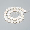 Natural Freshwater Shell Beads BSHE-I011-01C-02-2