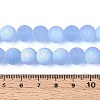 Frosted Transparent Glass Beads Strands LS-GLAA-T032-T10mm-MBB04-4