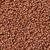 MIYUKI Delica Beads SEED-JP0008-DB2107-3