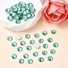 Preciosa® MAXIMA Crystal No Hotfix Flatback Stones Y-PRC-NSS6-50005-2