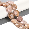 Natural Cherry Blossom Agate Beads Strands G-L246-24-1