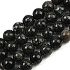 Natural Seraphinite Beads Strands G-H337-A03-05-2