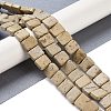 Natural White Picture Jasper Beads Strands G-K362-C01-01-2