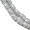 Opaque Glass Beads Strands GLAA-Z018-D19-3