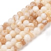 Natural Freshwater Shell Beads Strands SHEL-T011-02-6mm-1