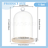 Glass Dome Cover DJEW-WH0043-36-2