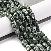 Natural Green Spot Jasper Beads Strands G-G146-A26-01-2
