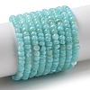 Natural Freshwater Shell Beads Strands SHEL-P017-01B-03-1