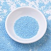 MIYUKI Delica Beads SEED-X0054-DB0164-2