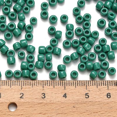 TOHO 6/0 Round Beads X-SEED-TR06-0055D-1