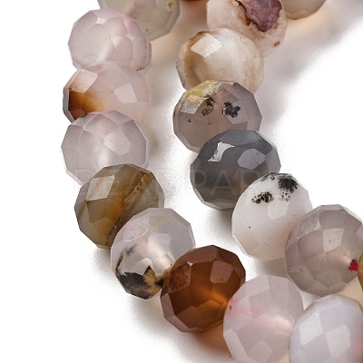 Natural Cherry Blossom Agate Beads Strands G-K380-A42-03-1