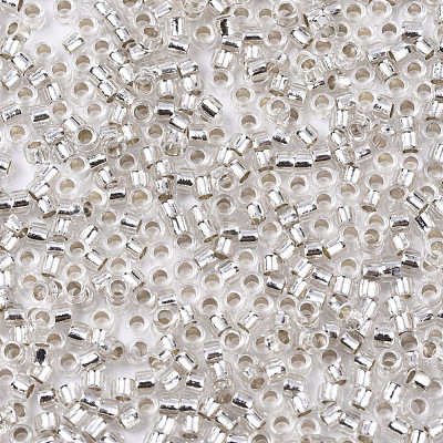 Glass Seed Beads X-SEED-S042-04B-06-1