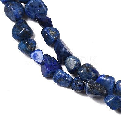 Natural Lapis Lazuli Beads Strands G-P597-B01-01-1