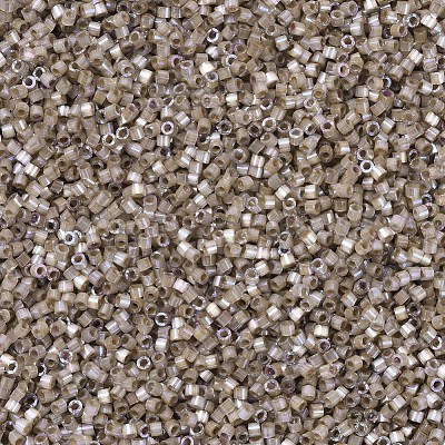 MIYUKI Delica Beads SEED-J020-DB0680-1