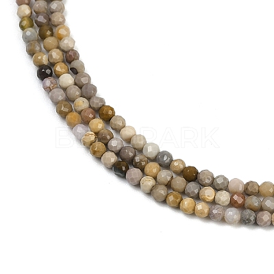 Natural Alashan Agate Beads Strands G-C181-B05-01-1