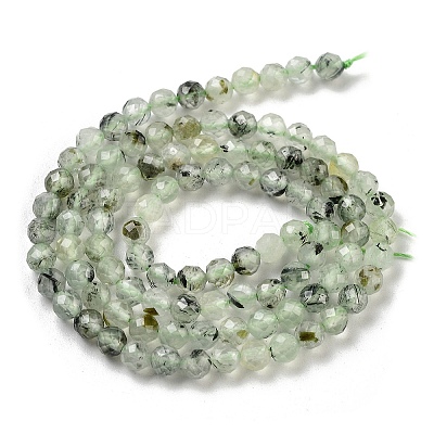 Natural Prehnite Beads Strands G-G140-A19-03-1