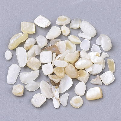 Freshwater Shell Beads X-SHEL-S266-11-1