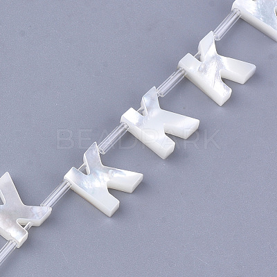 Natural Sea Shell Beads SHEL-T012-60K-1