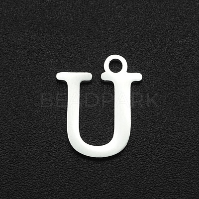 Non-Tarnish 201 Stainless Steel Charms STAS-N090-LA060-U-1