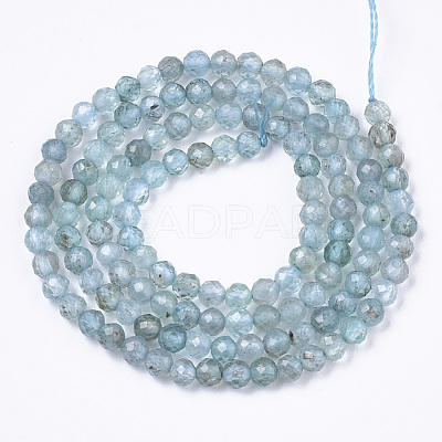 Natural Apatite Beads Strands G-R462-026B-1