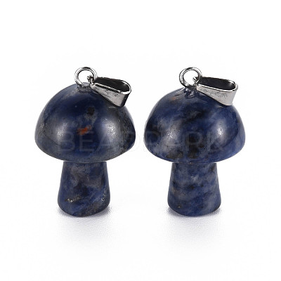 Natural Sodalite Pendants G-N0325-10K-1