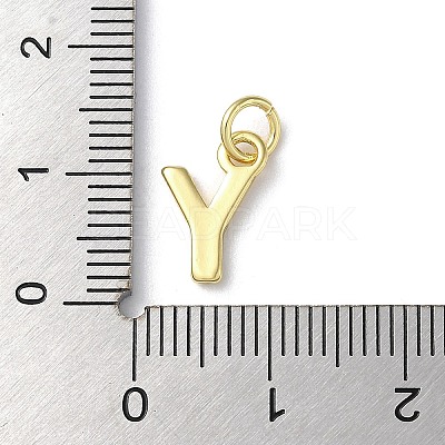 Rack Plating Brass Charms KK-P245-06G-Y-1