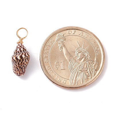 Natural Shell Pendants PALLOY-JF01164-02-1