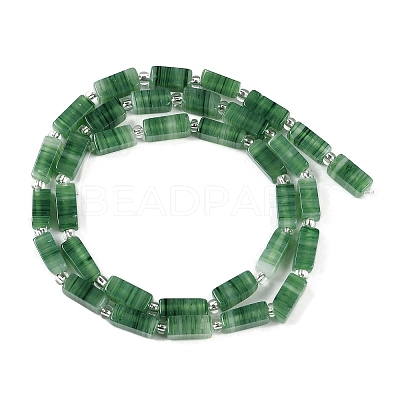 Handmade Lampwork Beads Strands LAMP-Q037-01B-09-1