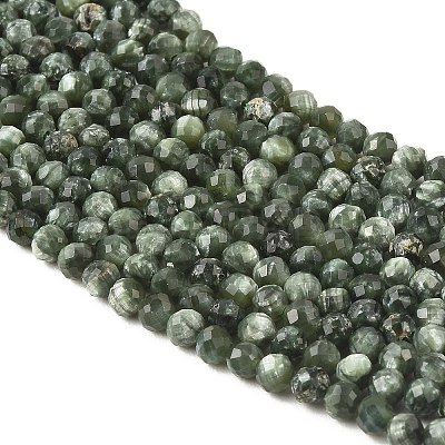 Natural Seraphinite Beads Strands G-K376-A02-2mm-1