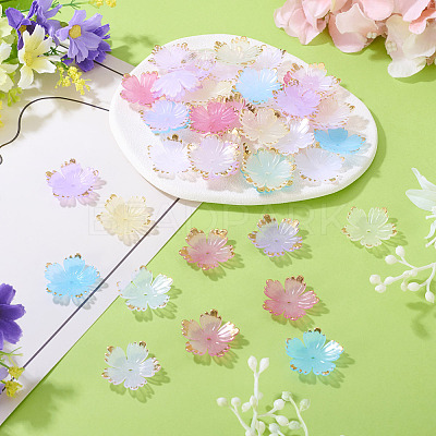 120Pcs 8 Colors Acrylic Bead Caps MACR-TA0002-59-1