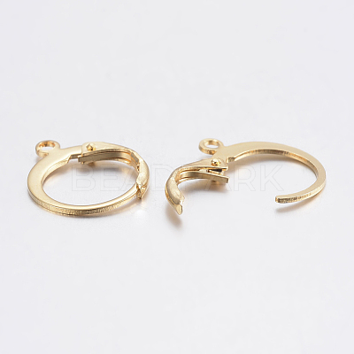 304 Stainless Steel Leverback Earring Findings STAS-F155-13G-1