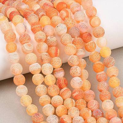 Frosted Natural Agate Beads Strands G-F367-8mm-03-1