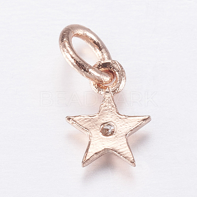 Brass Micro Pave Cubic Zirconia Charms ZIRC-E135-30RG-1