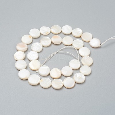 Natural Freshwater Shell Beads BSHE-I011-01C-02-1