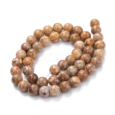 Natural Maifanite/Maifan Stone Beads Strands G-P451-01A-C-1