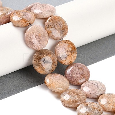 Natural Cherry Blossom Agate Beads Strands G-L246-24-1