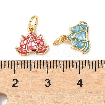 Rack Plating Brass & Shell Charms KK-I357-10G-1