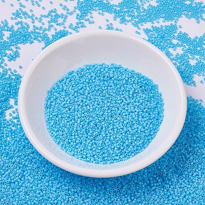 MIYUKI Delica Beads SEED-MY11-DB0879-1
