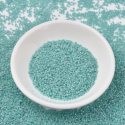 MIYUKI Delica Beads SEED-JP0008-DB1567-1