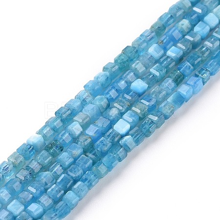 Natural Apatite Beads Strands G-P457-B01-14A-1