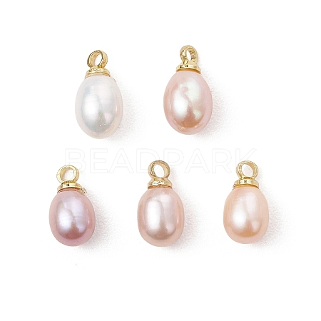 Natural Cultured Freshwater Pearl Rice Charms PALLOY-JF05124-1
