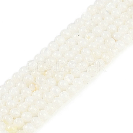 Natural Cultured Freshwater Shell Beads Strands BSHE-H109-03B-1