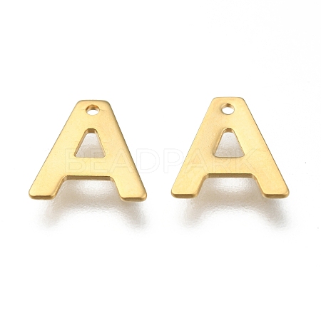 304 Stainless Steel Charms LS-X-STAS-P141-A-1