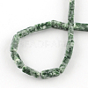 Cuboid Natural Green Spot Gemstone Bead Strands G-R299-08-2